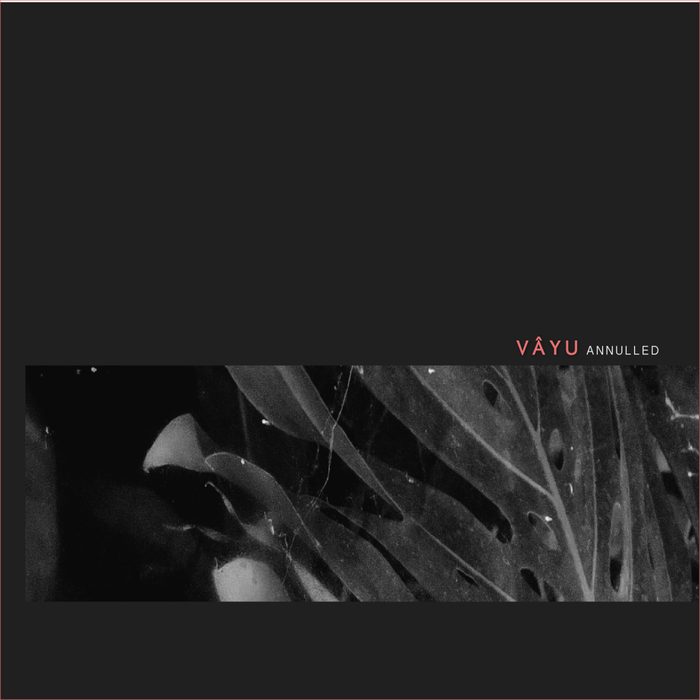 Vayu – Polarized Reflection