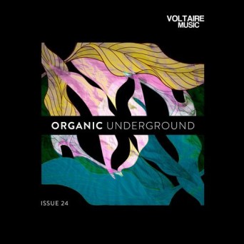 Voltaire Music: Organic Underground Issue 24