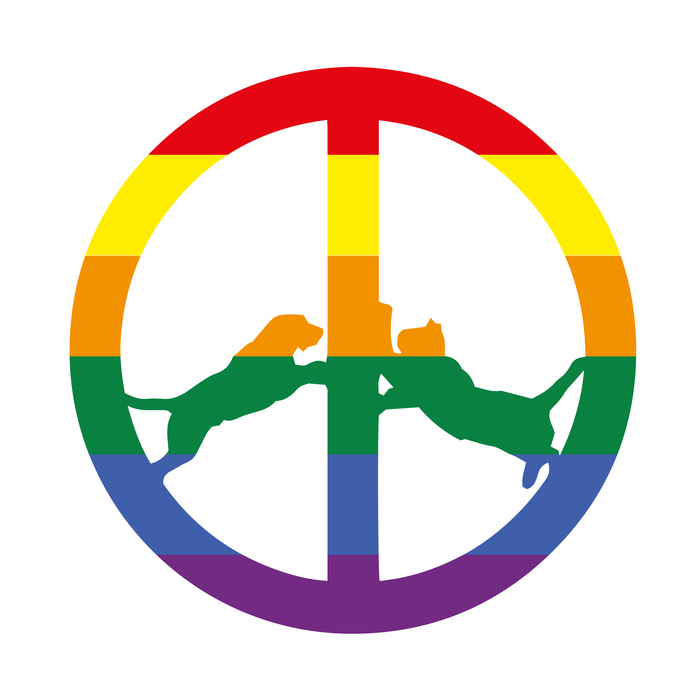 Hype Williams – Rainbow Edition