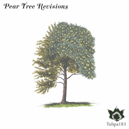 Pear Tree Revisions