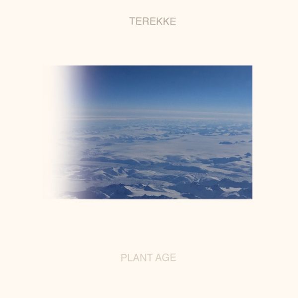 Terekke – Plant Age