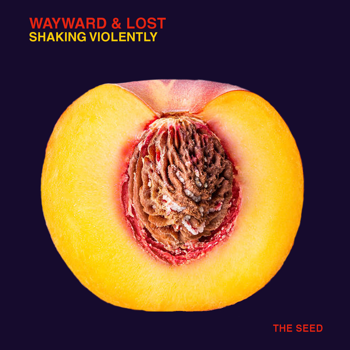 Wayward & Lost – Shaking Violently