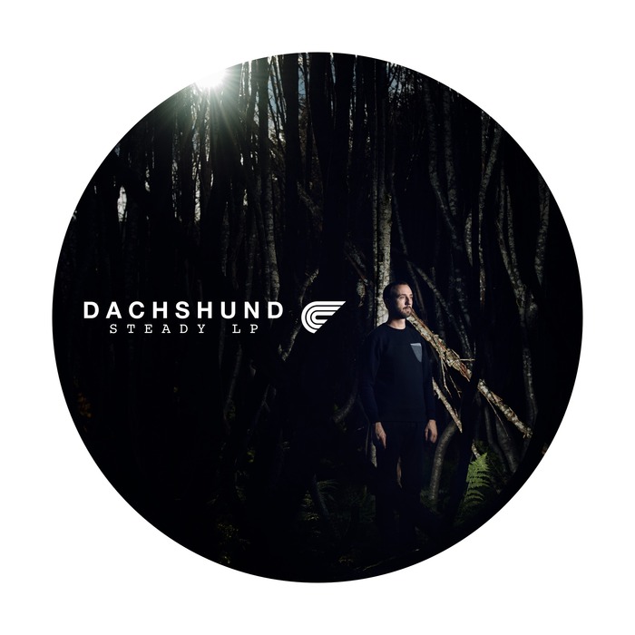 Dachshund – Steady LP