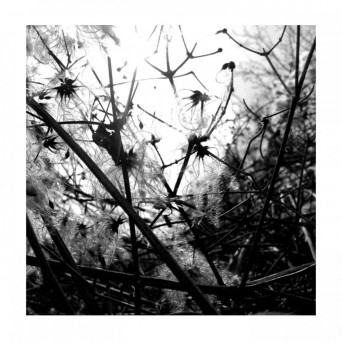 Joachim Spieth – Irradiance