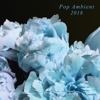 Kompakt: Pop Ambient 2018