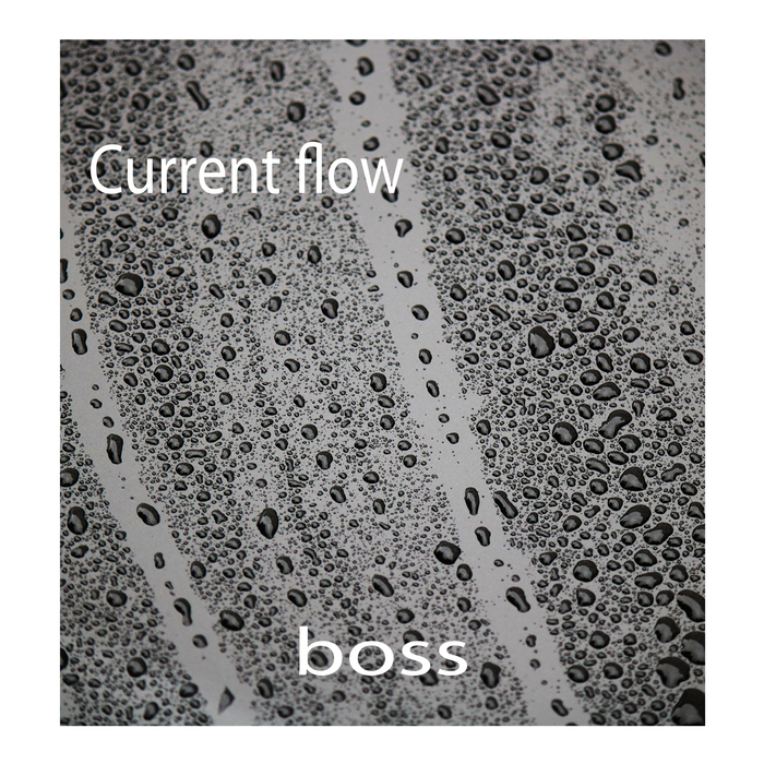 Current Flow – Boss