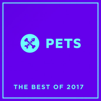 PETS Recordings: The Best Of 2017