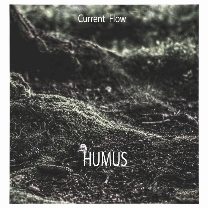 Current Flow – Humus
