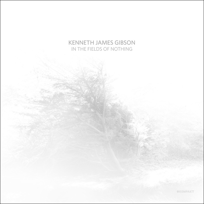 Kenneth James Gibson – In The Fields Of Nothing