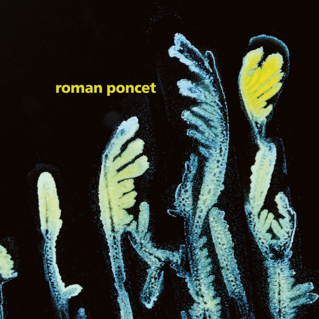 Roman Poncet – Gypsophila
