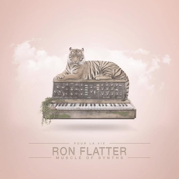 Ron Flatter – Muscle of Synths