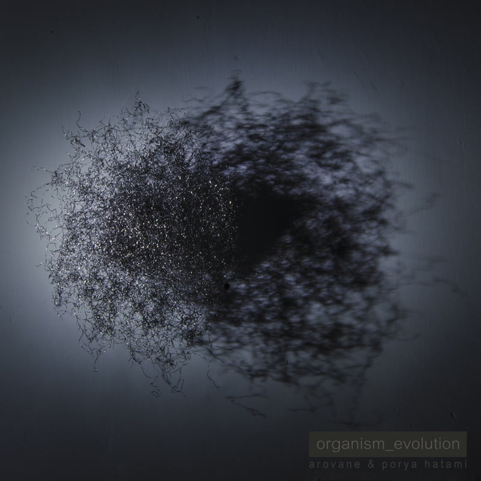 Arovane & Porya Hatami – Organism_evolution