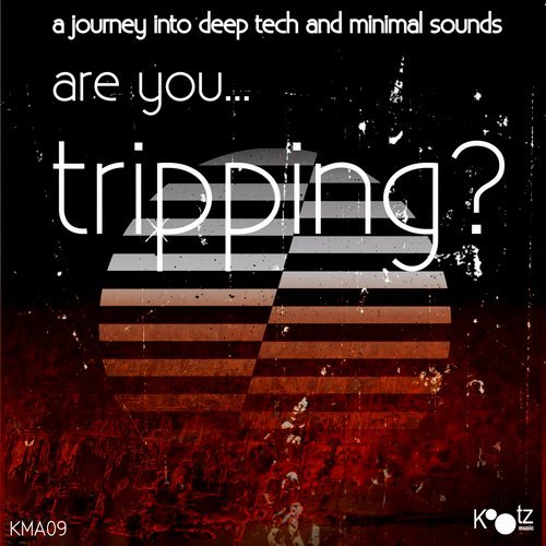 Are You…Tripping?, Vol. 7
