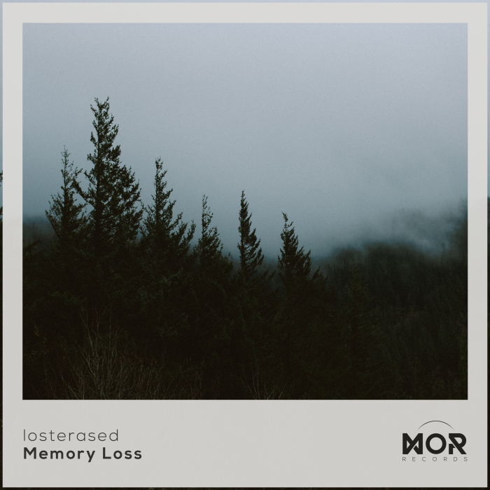 losterased – Memory Loss