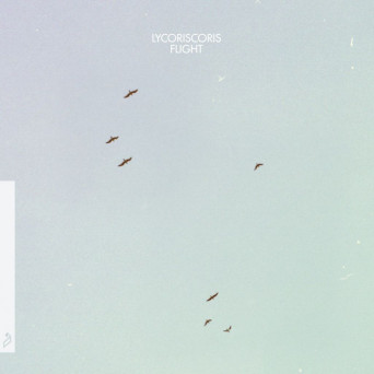 Lycoriscoris – Flight LP