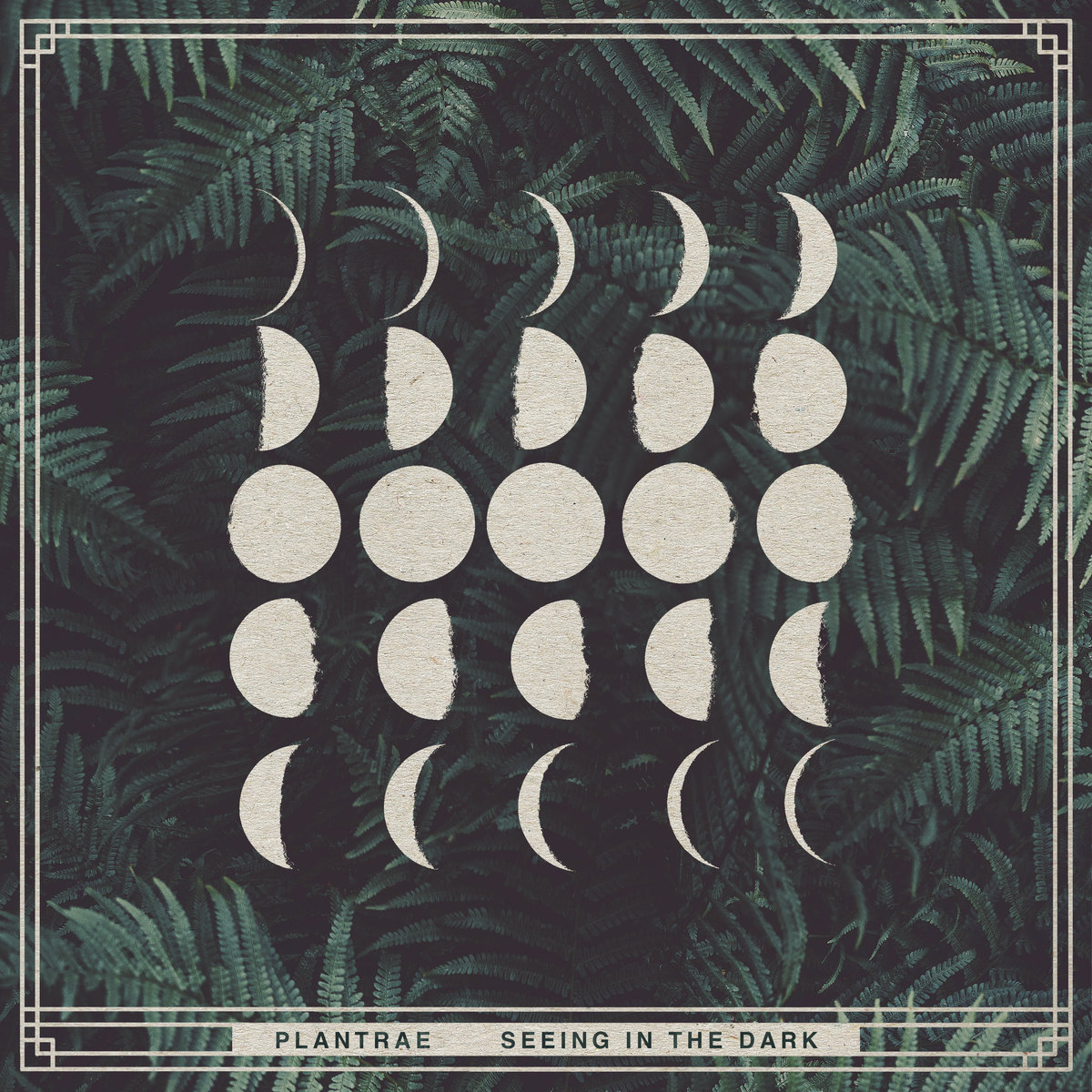 Plantrae – Seeing in the Dark