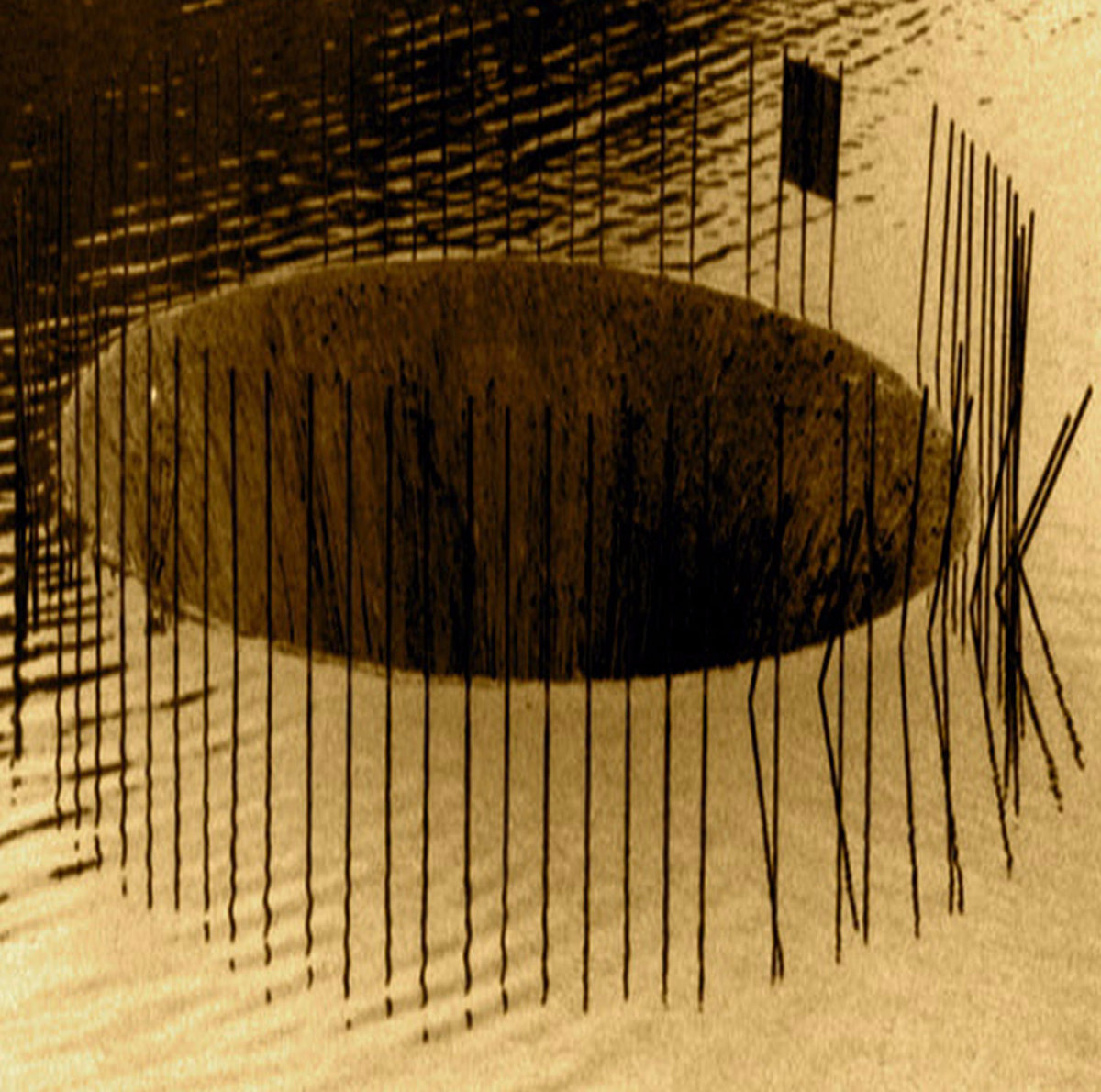 Hair & Treasure – Forked Piss Blues