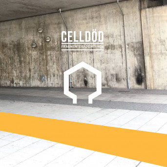 Celldöd – Fragmenterade Minnen