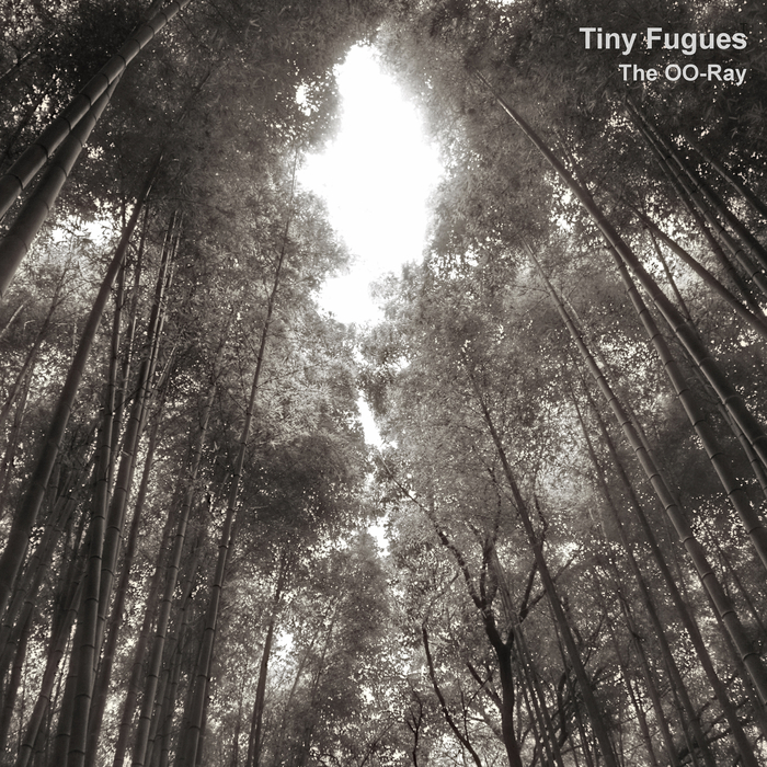The OO-Ray – Tiny Fugues