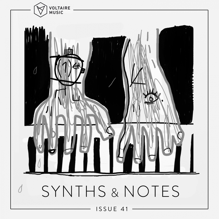 VA – Synths And Notes 41