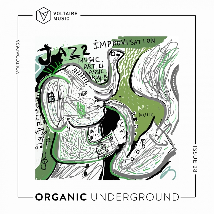 VA – Organic Underground Issue 28