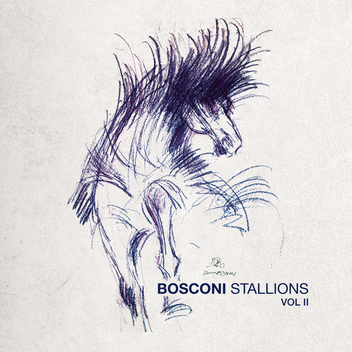 VA – Bosconi Stallions Vol.2 – 10 Years Of Bosconi Records