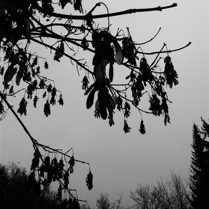 Joachim Spieth – Archives (10 Years Affin)