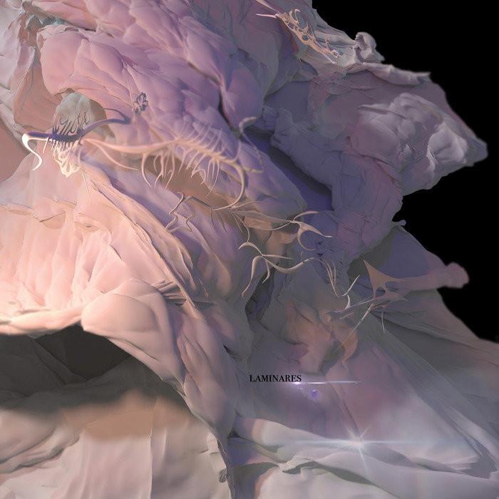 Laura Luna Castillo – Laminares