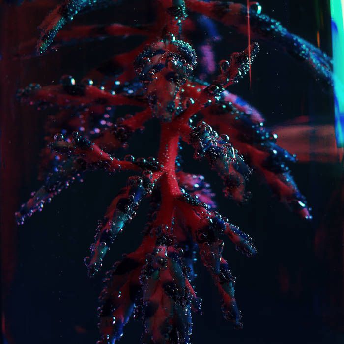 Objekt – Cocoon Crush