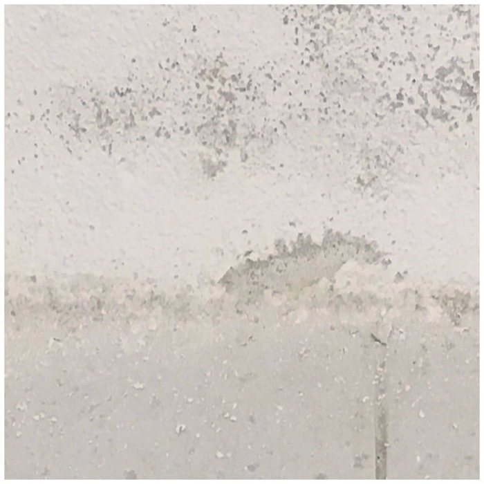 Jasmine Guffond – Degradation Loops