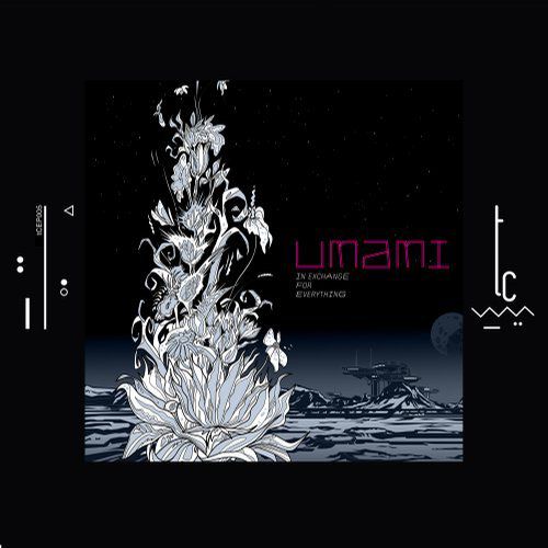 Umami – In Exchange For Everything
