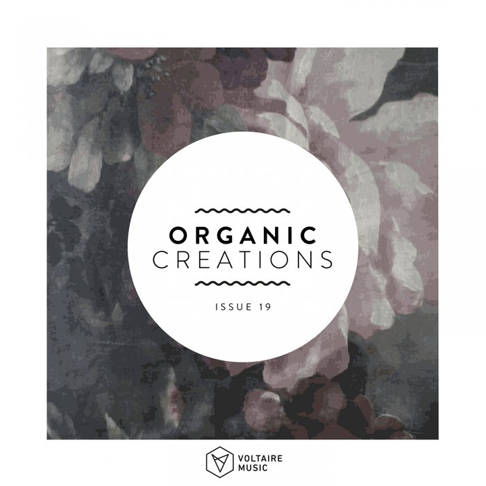 VA – Organic Creations Issue 19