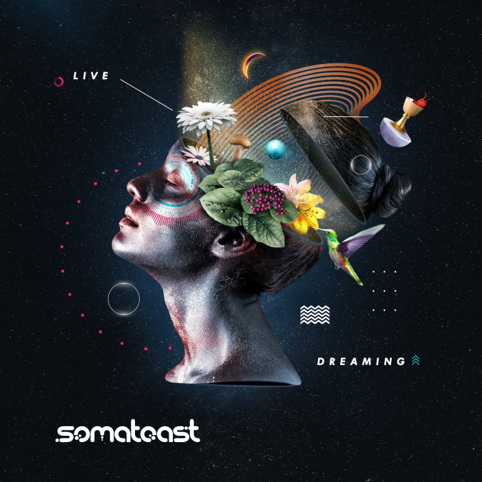 Somatoast – Live Dreaming