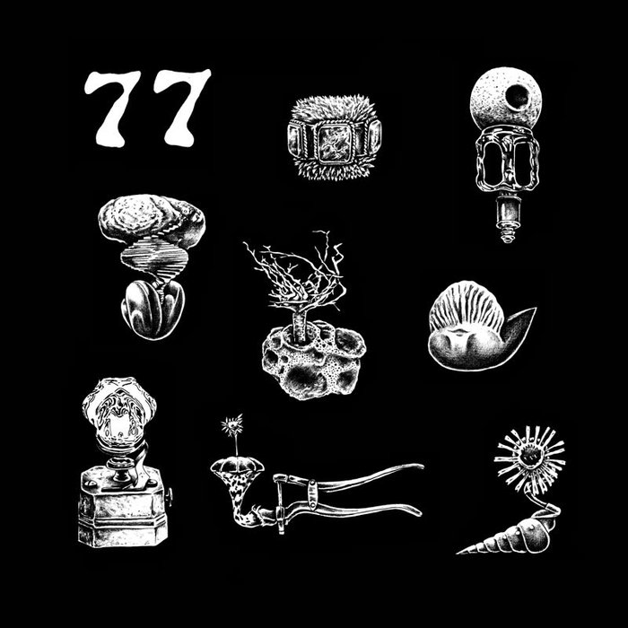 Hypnobirds – 77: A Brief Landing On The Earth’s Surface
