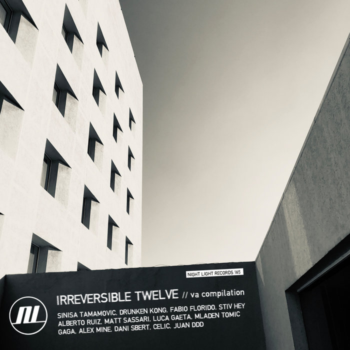 VA – Irreversible Twelve