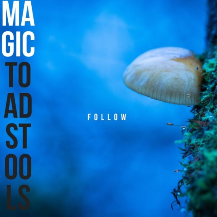 Magic Toadstools – Follow