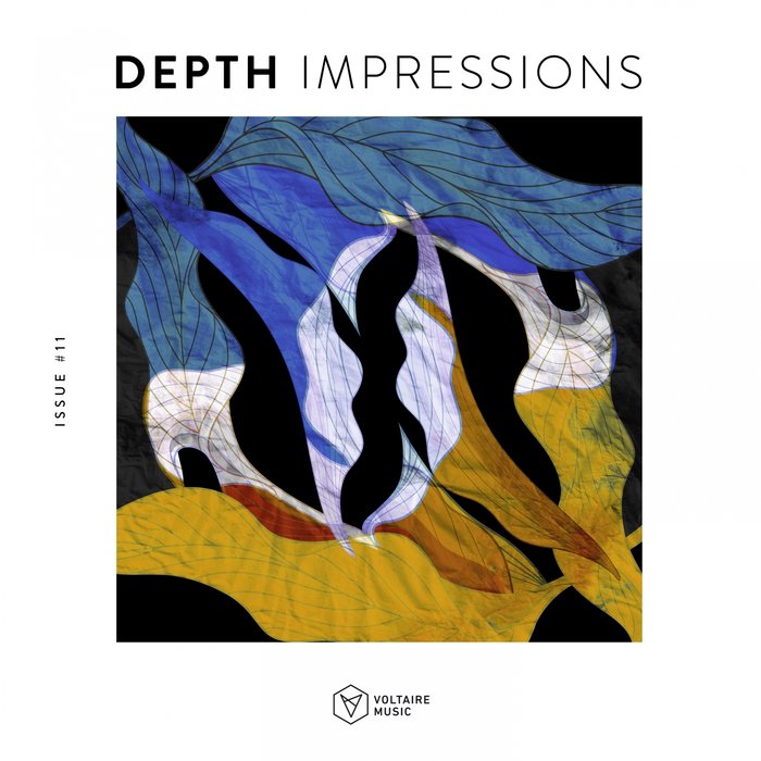 VA – Depth Impressions Issue #11