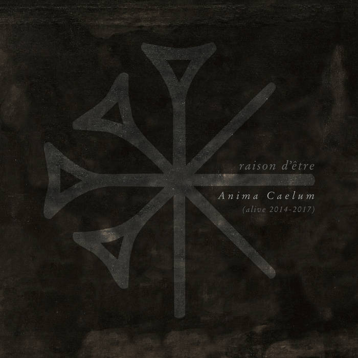 raison d’être – Anima Caelum (Alive 2014-2017)