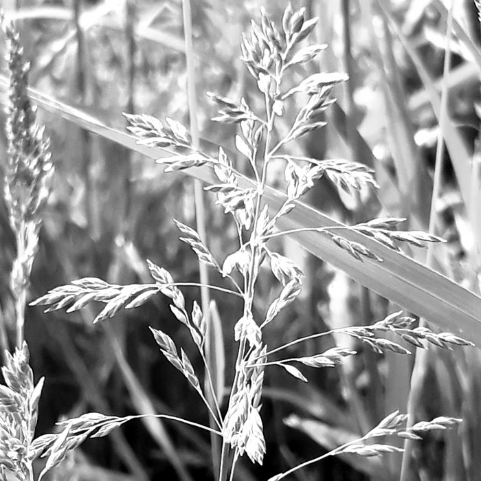 Joachim Spieth – Remixed