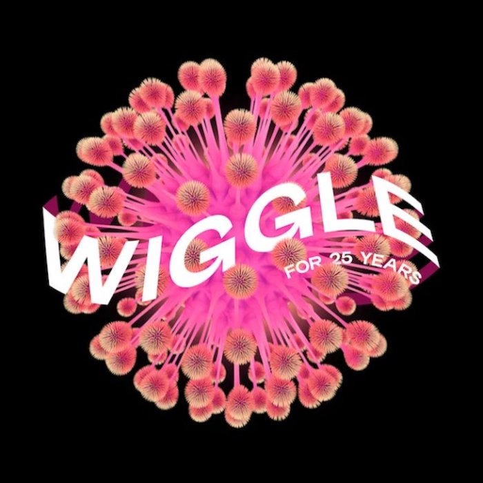 VA – Wiggle for 25 Years