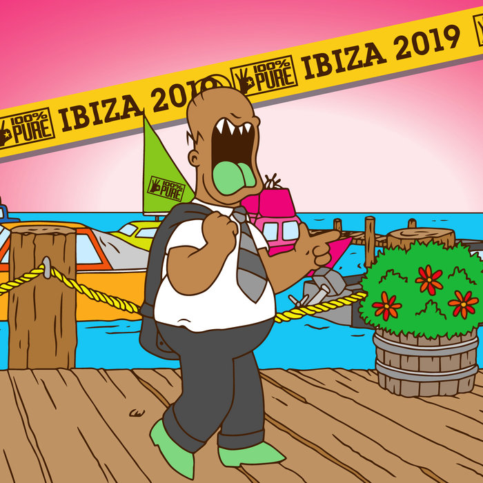 VA – 100% Pure Ibiza 2019