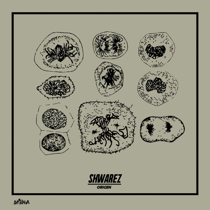 Shwarez – Origen