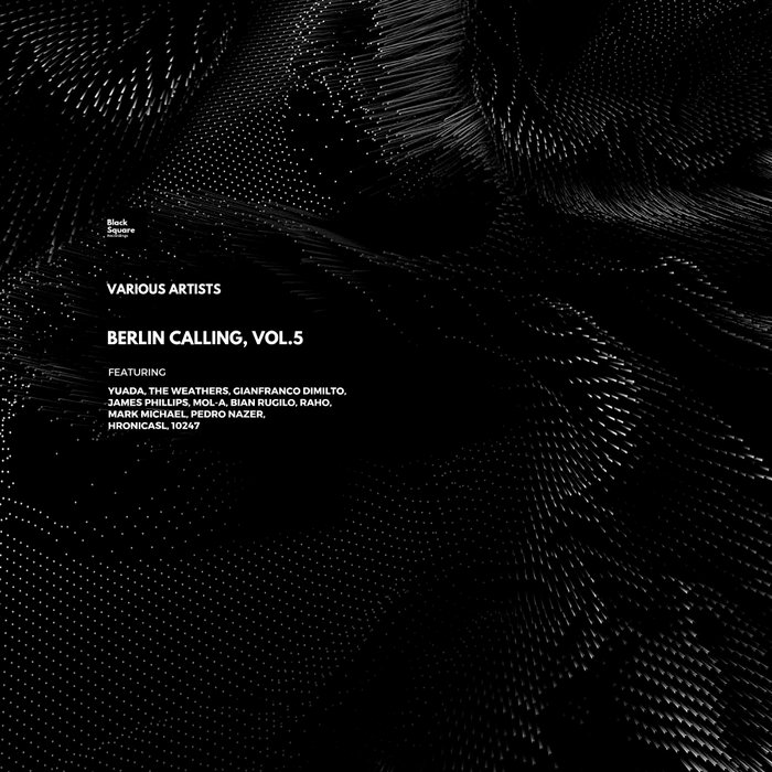 VA – Berlin Calling, Vol.5