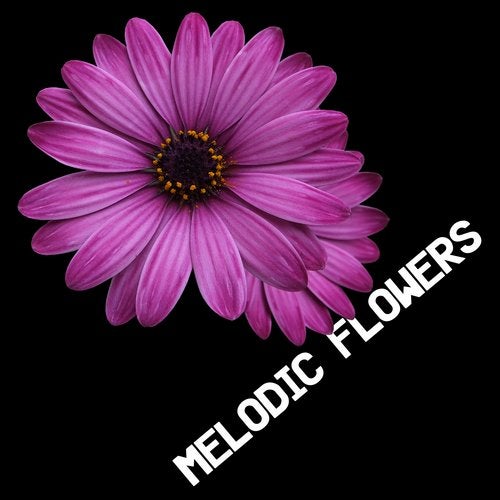 VA – Melodic Flowers