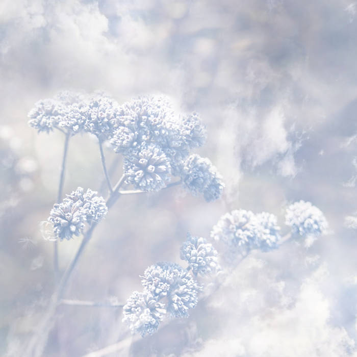 Poemme – Frozen Passages