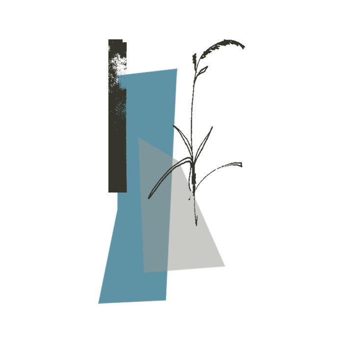 Jogging House – When