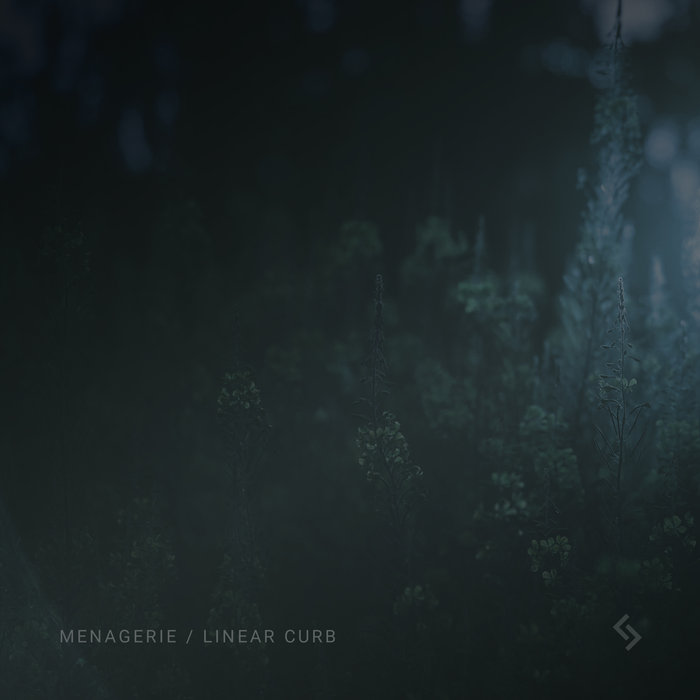 Linear Curb – Menagerie