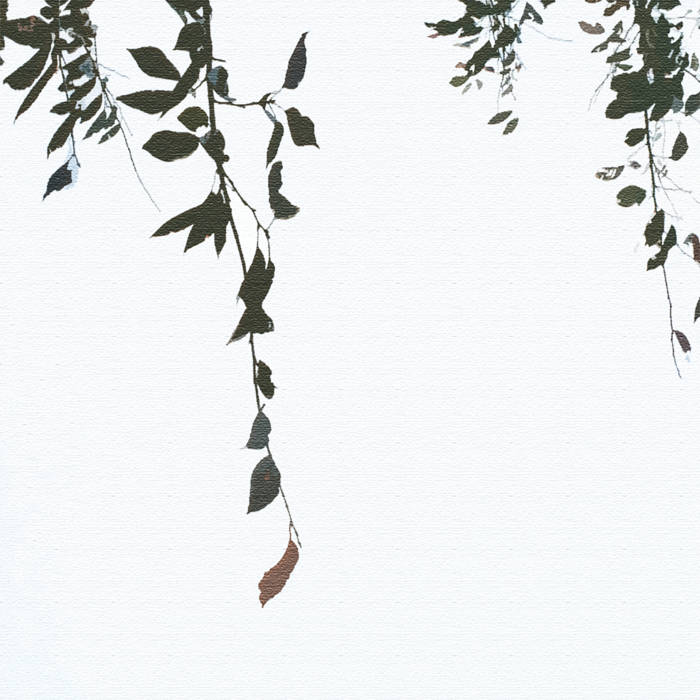 Rhucle – 霧が晴れたら