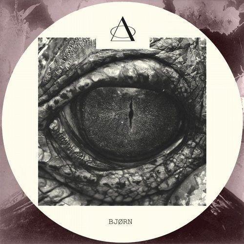 Bjørn – SOL