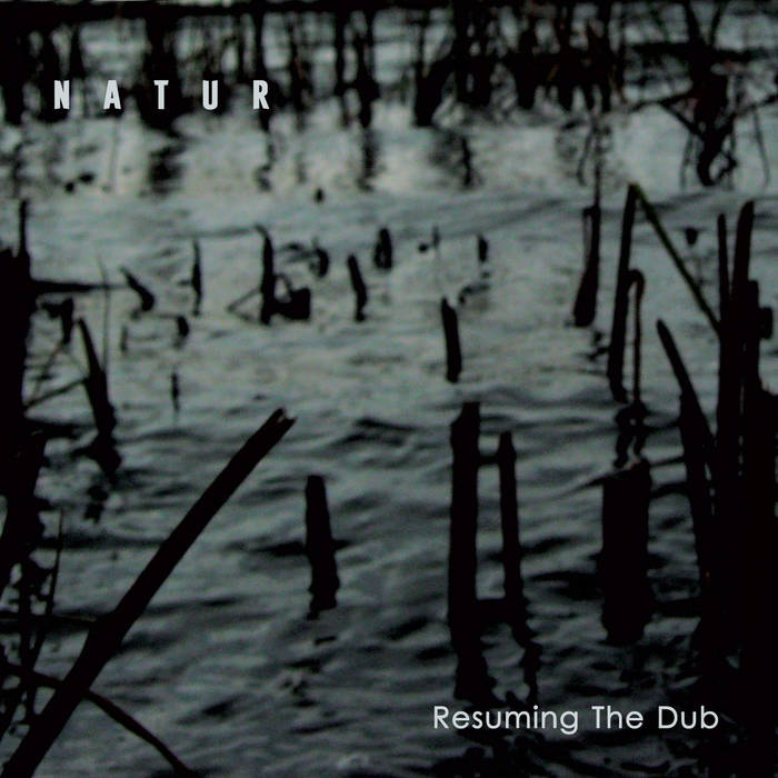 Natur – Resuming The Dub